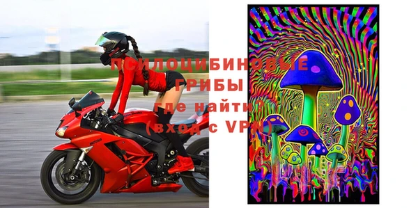 a pvp Алзамай