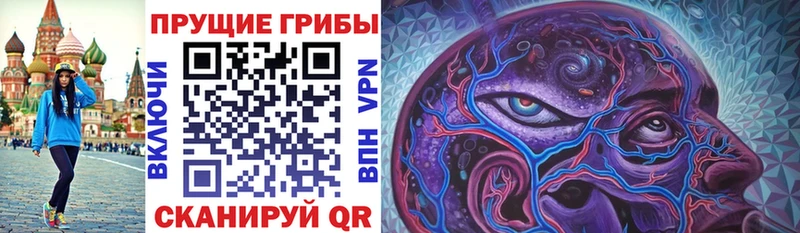 где можно купить наркотик  Якутск  Галлюциногенные грибы Psilocybe 